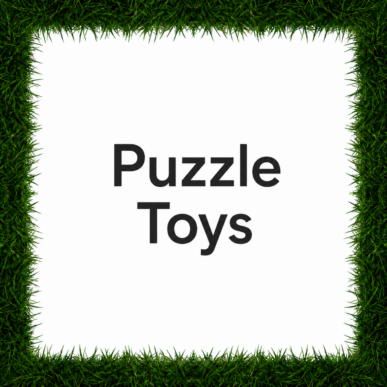 Puzzle Toys