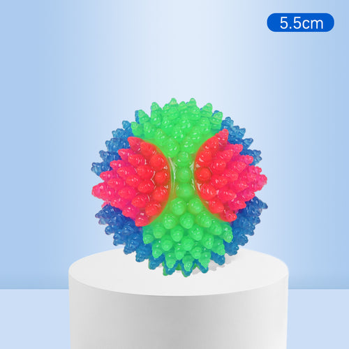 Interactive Light-Up Dog Ball Toy — Flashing LED Elastic Rubber Ball for Small Dogs | Fetch, Play & Teeth Training Toy