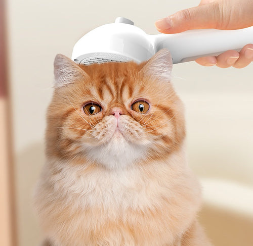 Self-Cleaning Pet Brush