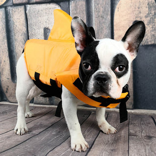 Dog Life Jacket with Shark Fin