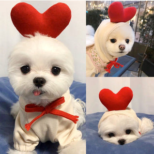 Fruit Dog Hoodie