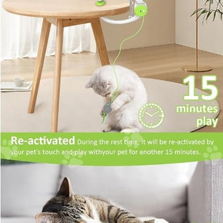 Hanging Door Cat Teaser Toy