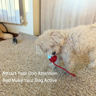 Smart Rolling Pet Ball