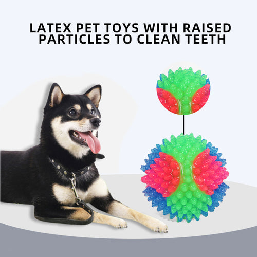 Interactive Light-Up Dog Ball Toy — Flashing LED Elastic Rubber Ball for Small Dogs | Fetch, Play & Teeth Training Toy