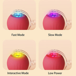 Smart Rolling Pet Ball
