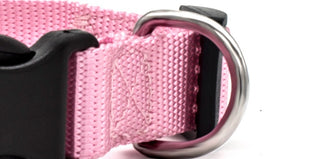 Adjustable Nylon Dog Collar with D-Ring