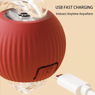 Smart Rolling Pet Ball