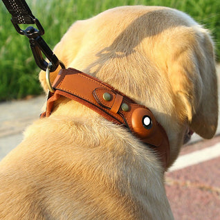 Leather Dog Collar with AirTag Holder