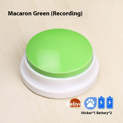 Recording Macaron Green