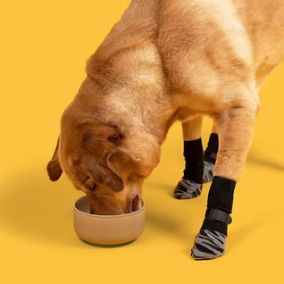 Non-Slip Dog Socks with Grips