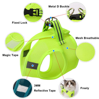 Cat Harness & Leash Set