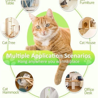 Hanging Door Cat Teaser Toy
