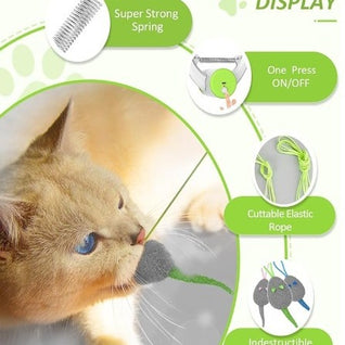 Hanging Door Cat Teaser Toy
