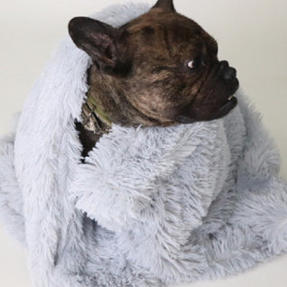 Fluffy Plush Pet Blanket