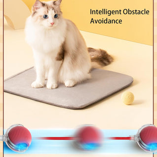 Smart Rolling Pet Ball