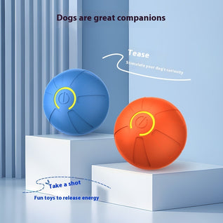 Smart Rolling LED Pet Ball