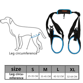 Pet Leg Strap Walking Support Dog Leg Support