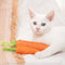 Cat Toys Carrot Bites Paper Toys Ringing Stones Cat Sticks Self Hi Tooth Grinding Sticks Interactive Pet Products