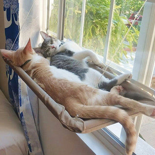 Window Cat Hammock