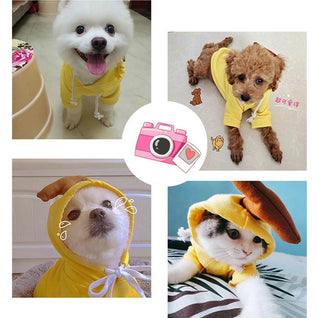 Fruit Dog Hoodie