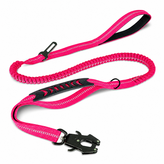 Bungee Dog Leash