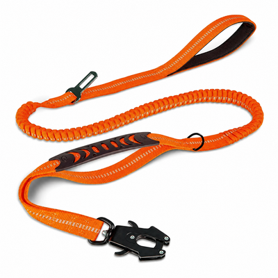 Bungee Dog Leash