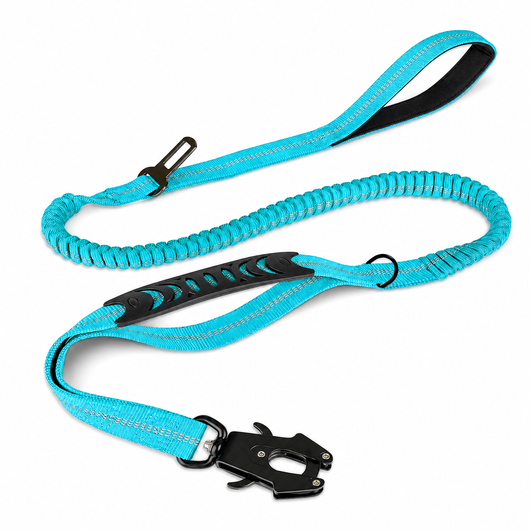 Bungee Dog Leash