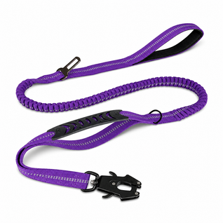 Bungee Dog Leash