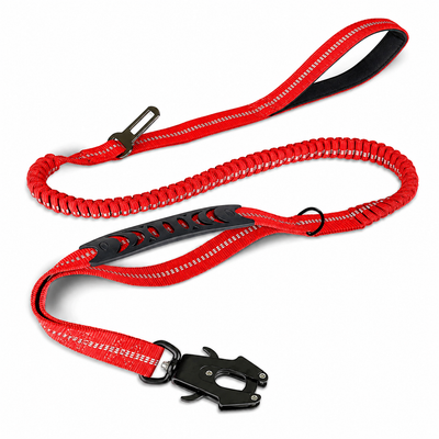 Bungee Dog Leash
