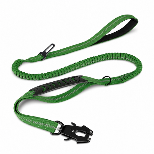 Bungee Dog Leash