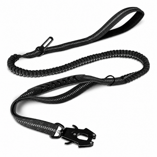 Bungee Dog Leash
