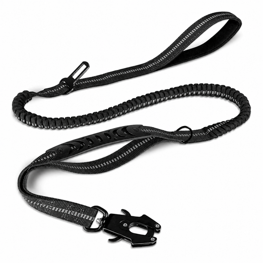 Bungee Dog Leash