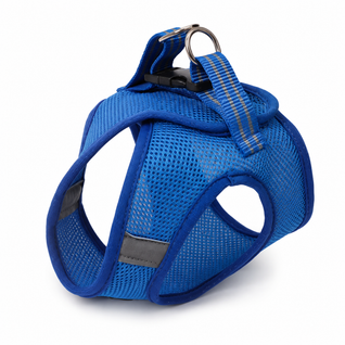 Cat Harness & Leash Set