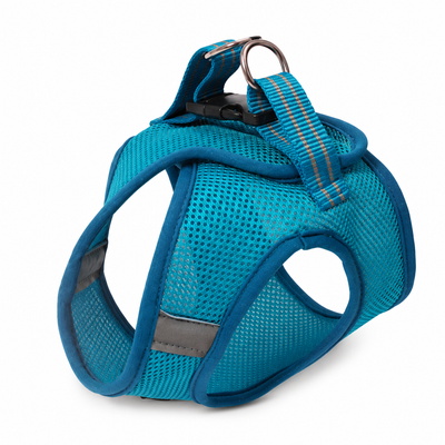 Cat Harness & Leash Set