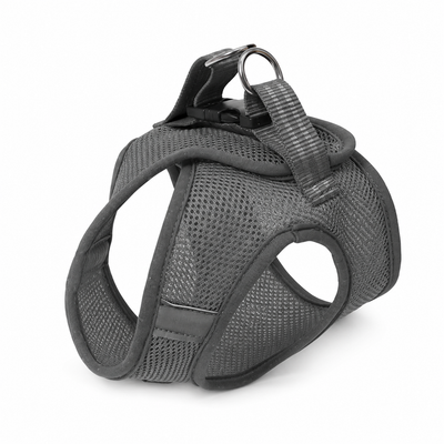 Cat Harness & Leash Set