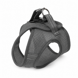 Cat Harness & Leash Set