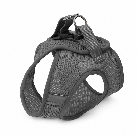 Cat Harness & Leash Set