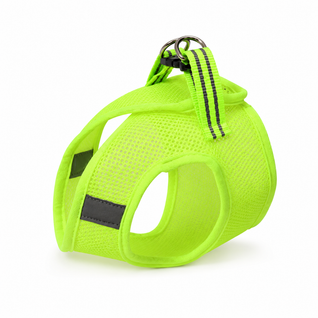 Cat Harness & Leash Set