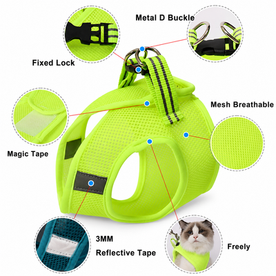 Cat Harness & Leash Set