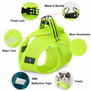 Cat Harness & Leash Set