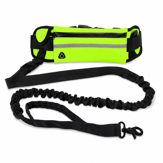 Hands-Free Dog Leash