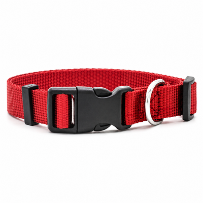 Adjustable Nylon Dog Collar with D-Ring