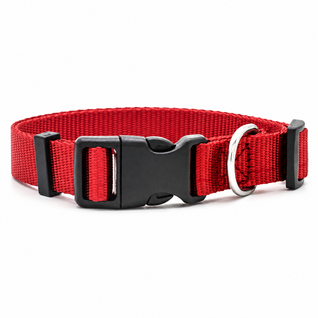 Adjustable Nylon Dog Collar with D-Ring