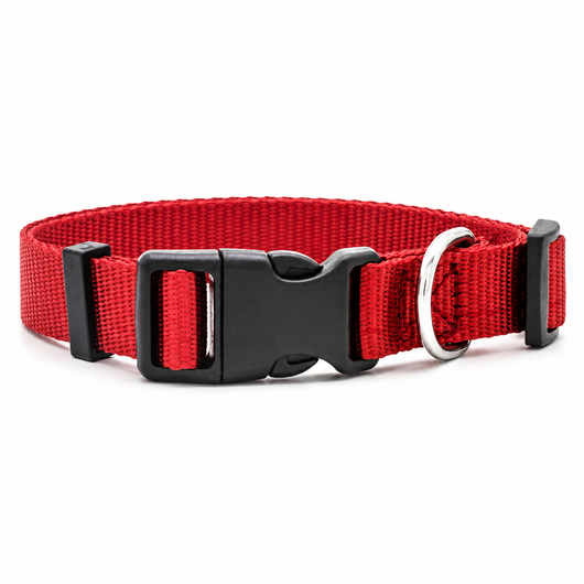 Adjustable Nylon Dog Collar with D-Ring