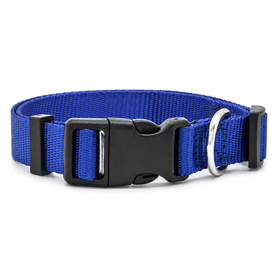 Adjustable Nylon Dog Collar with D-Ring