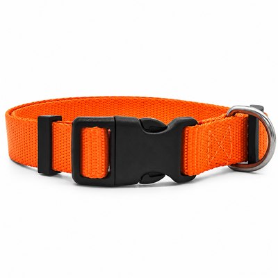 Adjustable Nylon Dog Collar with D-Ring