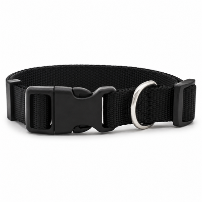 Adjustable Nylon Dog Collar with D-Ring