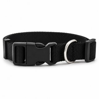 Adjustable Nylon Dog Collar with D-Ring