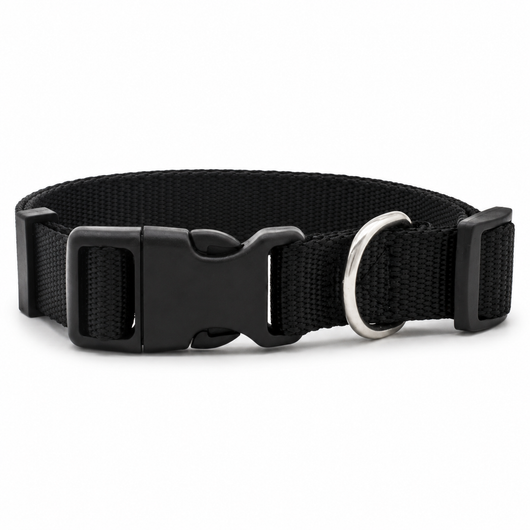 Adjustable Nylon Dog Collar with D-Ring