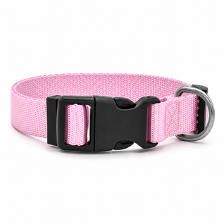 Adjustable Nylon Dog Collar with D-Ring